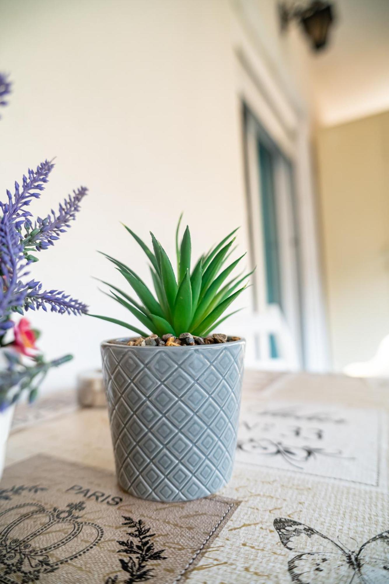 Feel Greek Hospitality #Θ006 Leilighet Thessaloníki Eksteriør bilde