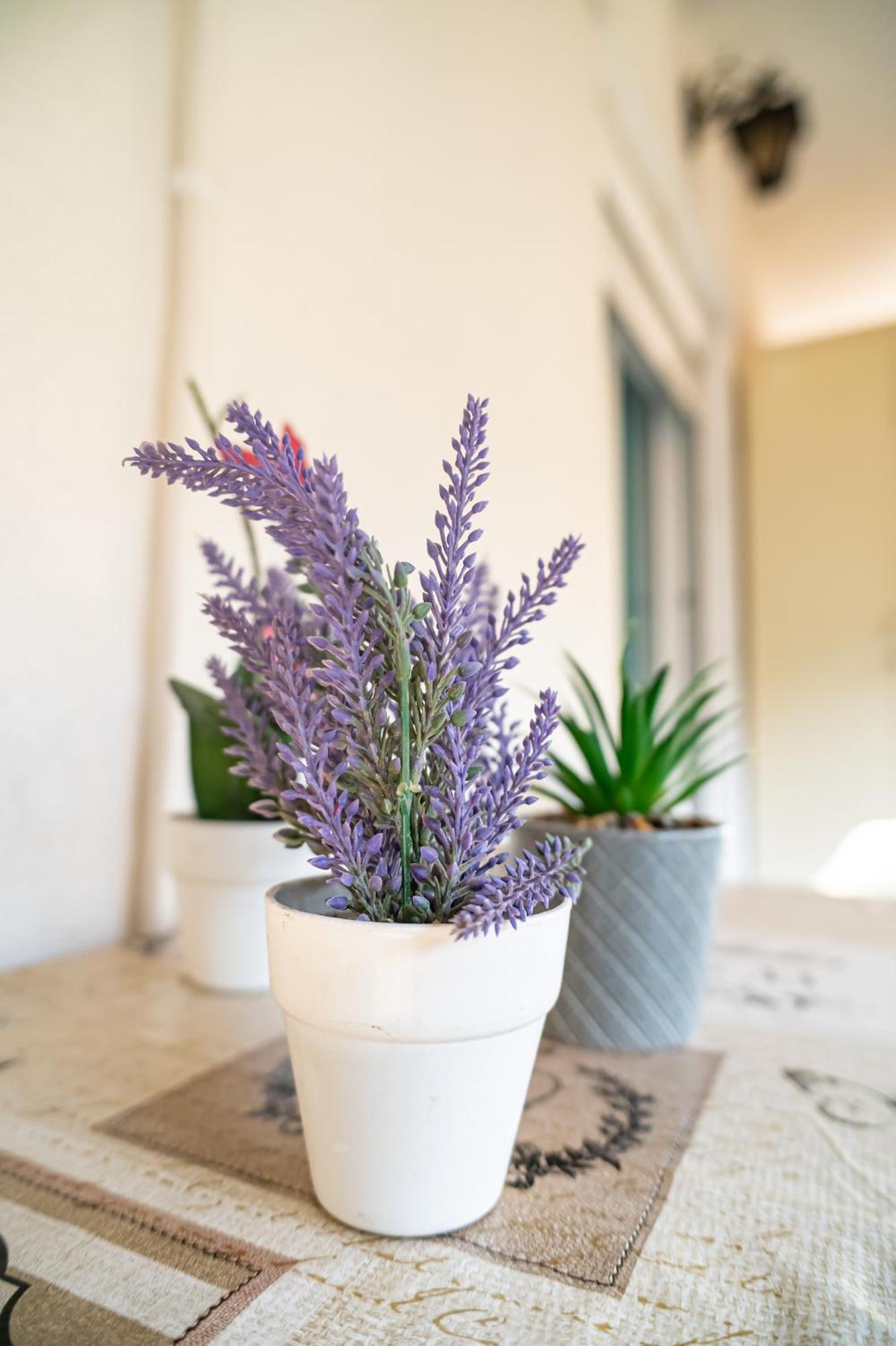 Feel Greek Hospitality #Θ006 Leilighet Thessaloníki Eksteriør bilde